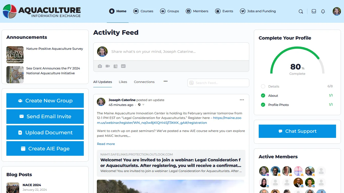The original AIE home page with six top-level menu items in the header