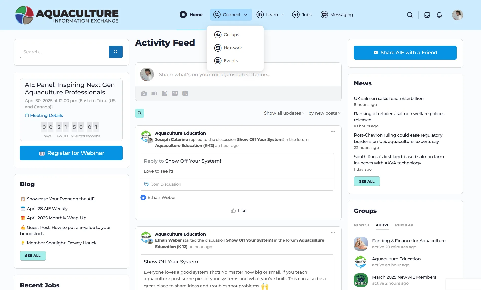 The redesigned AIE home page with Connect and Learn dropdown menus in the header