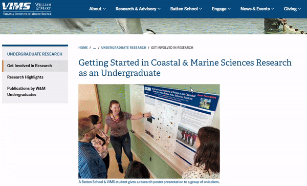 A screen recording showing the new undergraduate research page, with tips to get started, photo cards to email different faculty and apply for different positions.
